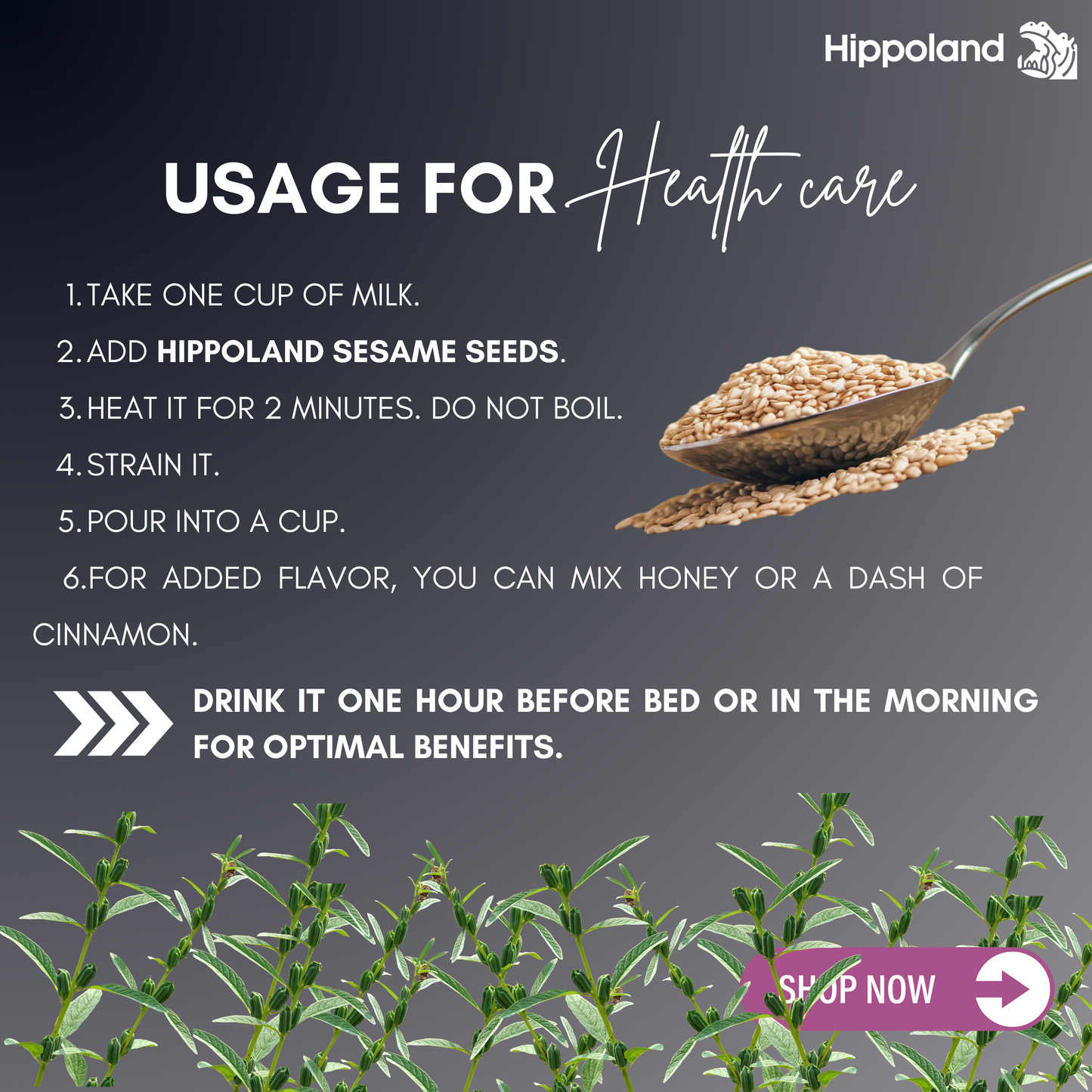 Hippoland Organic Sesame Seeds | 100grams | 200grams | 500grams | 1kg