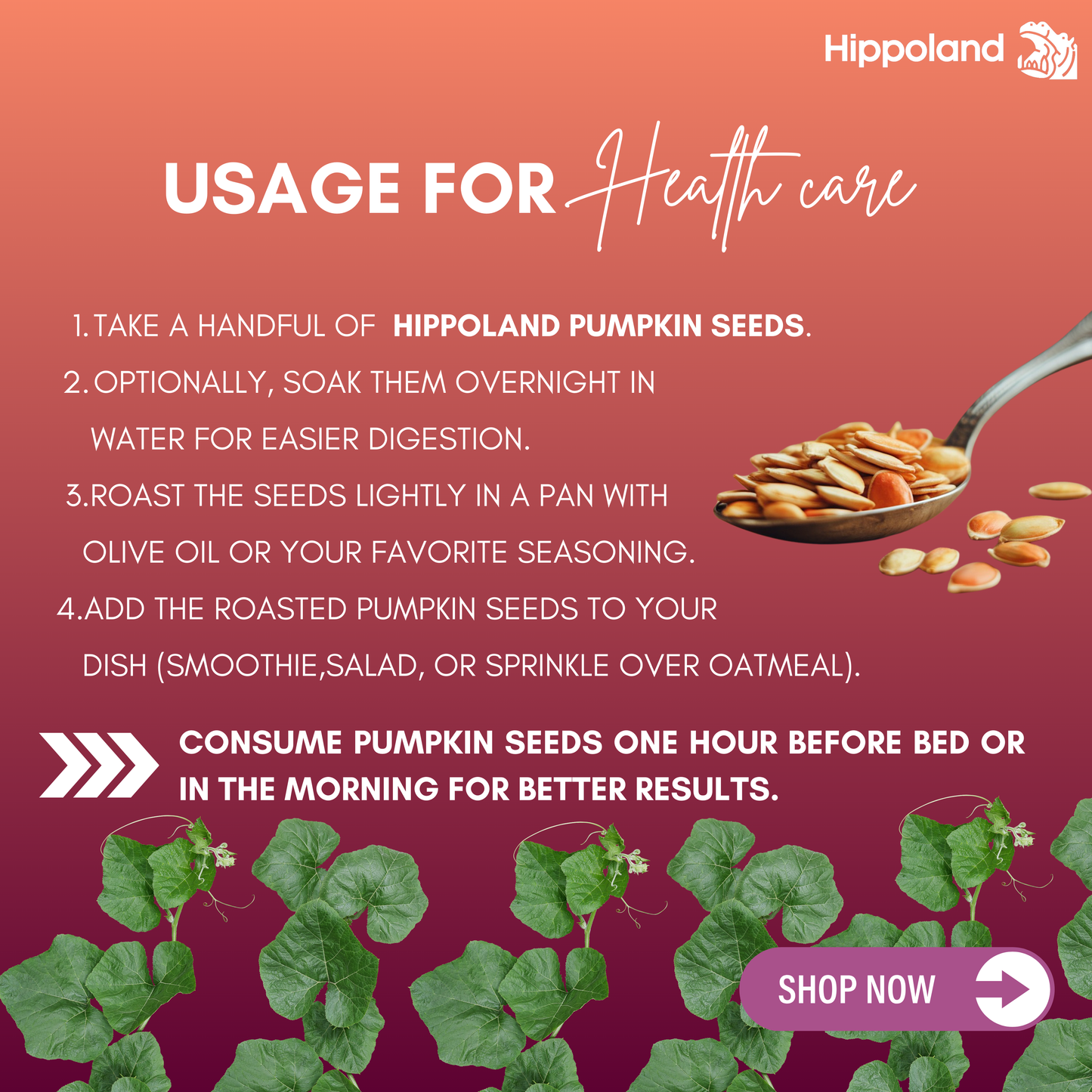 Hippoland Organic Pumpkin Seeds| 100grams | 200grams | 500grams | 1kg