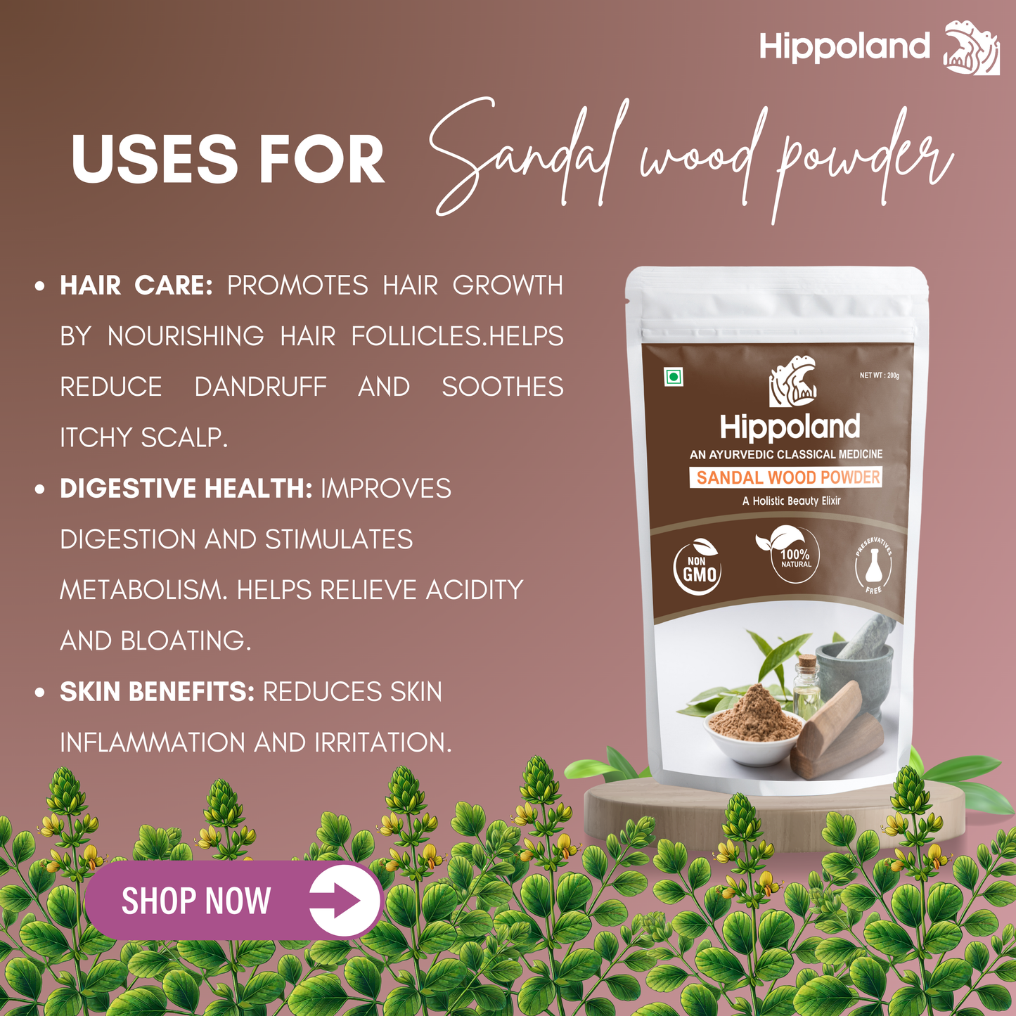 Hippoland Organic Sandalwood Powder | 100grams | 200grams | 500grams | 1kg