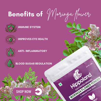 Hippoland Organic Moringa Flower Powder | 100grams | 200grams | 500grams | 1kg
