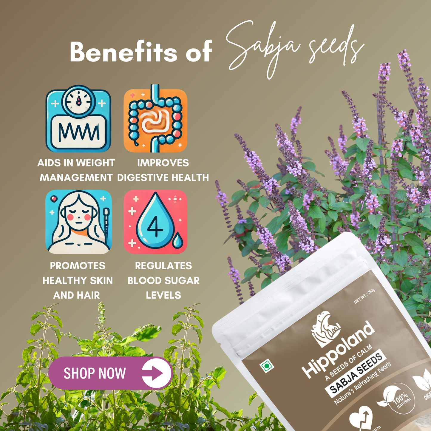 Hippoland Organic Sabja Seeds | 100grams | 200grams | 500grams | 1kg