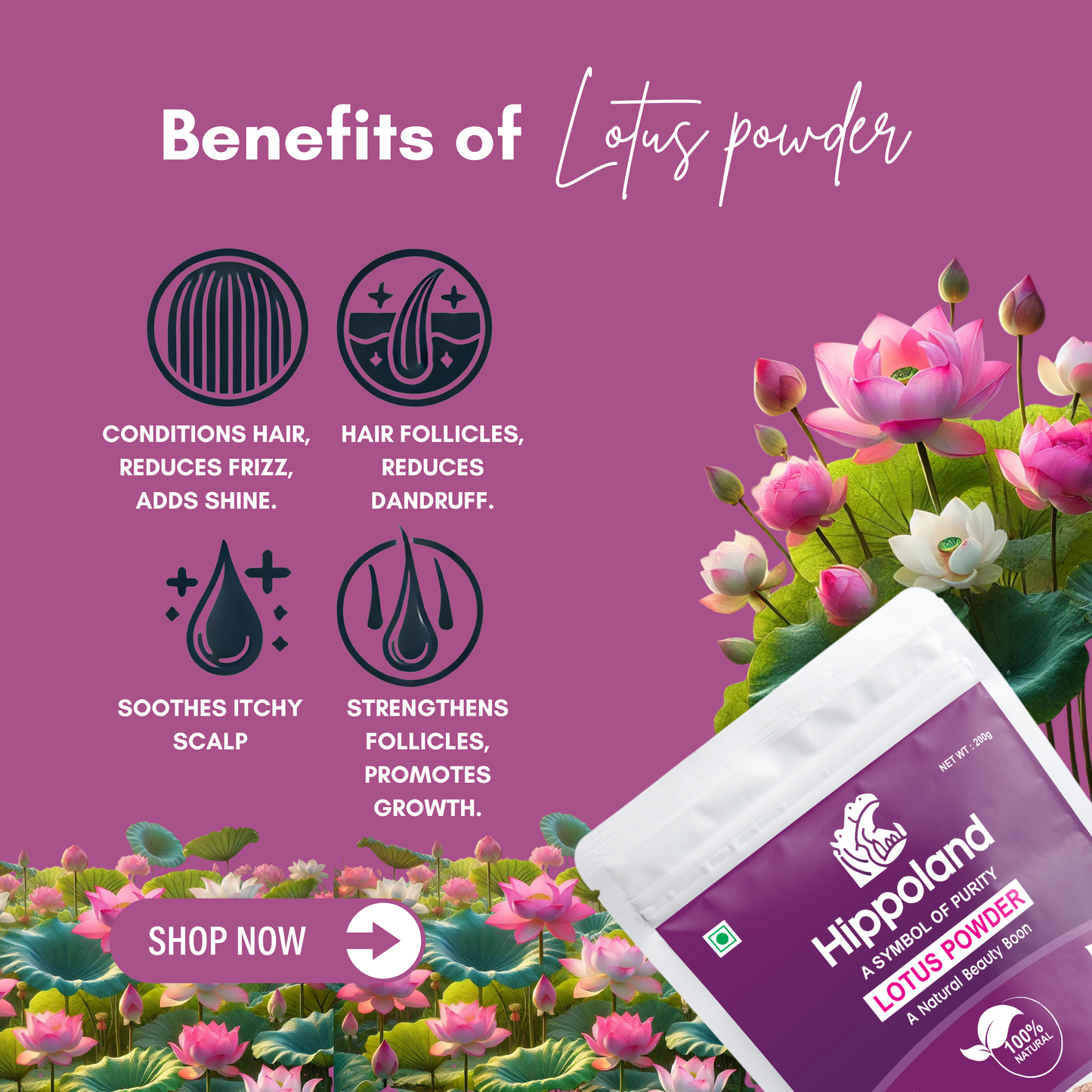 Hippoland Organic Lotus Powder | 100grams | 200grams | 500grams | 1kg