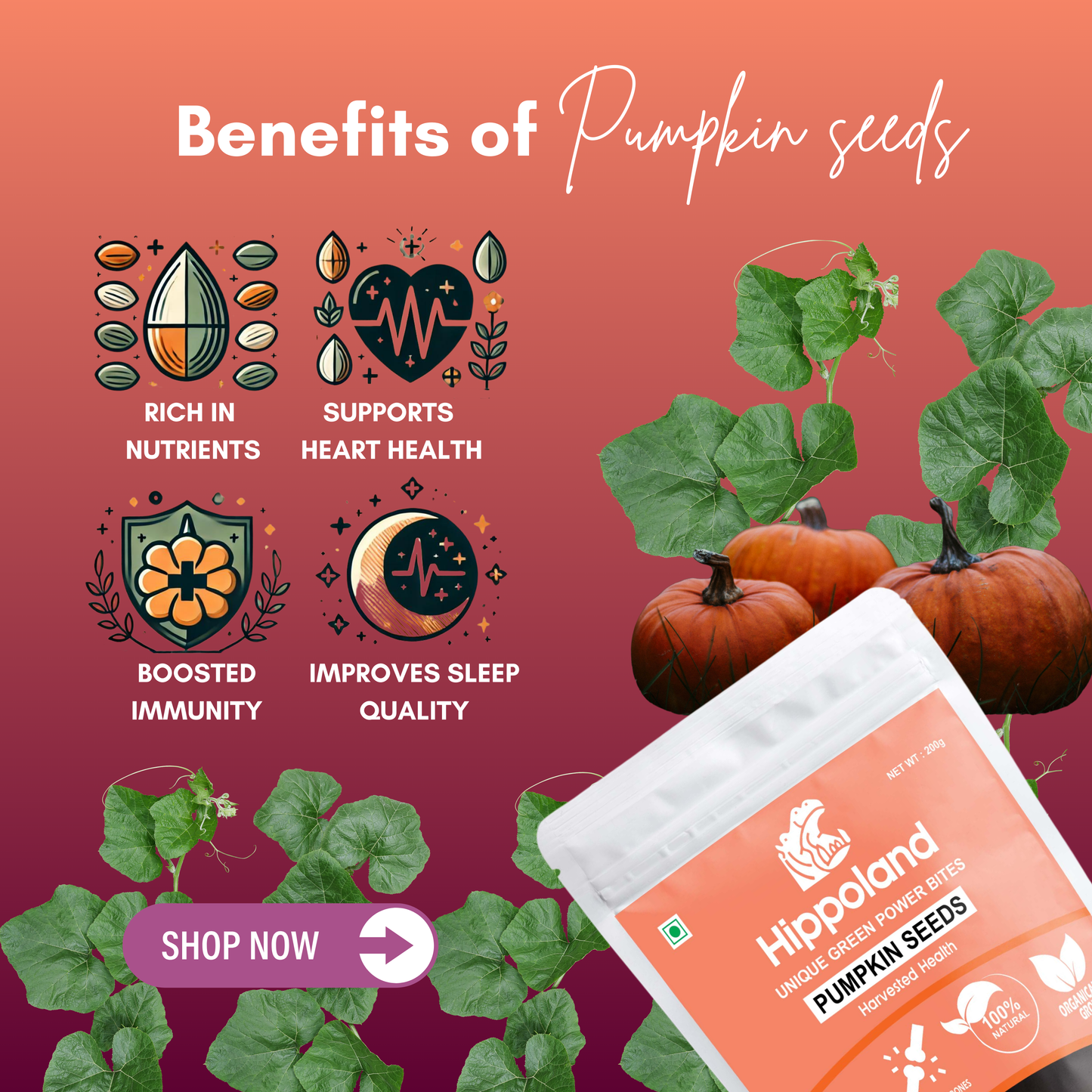 Hippoland Organic Pumpkin Seeds| 100grams | 200grams | 500grams | 1kg