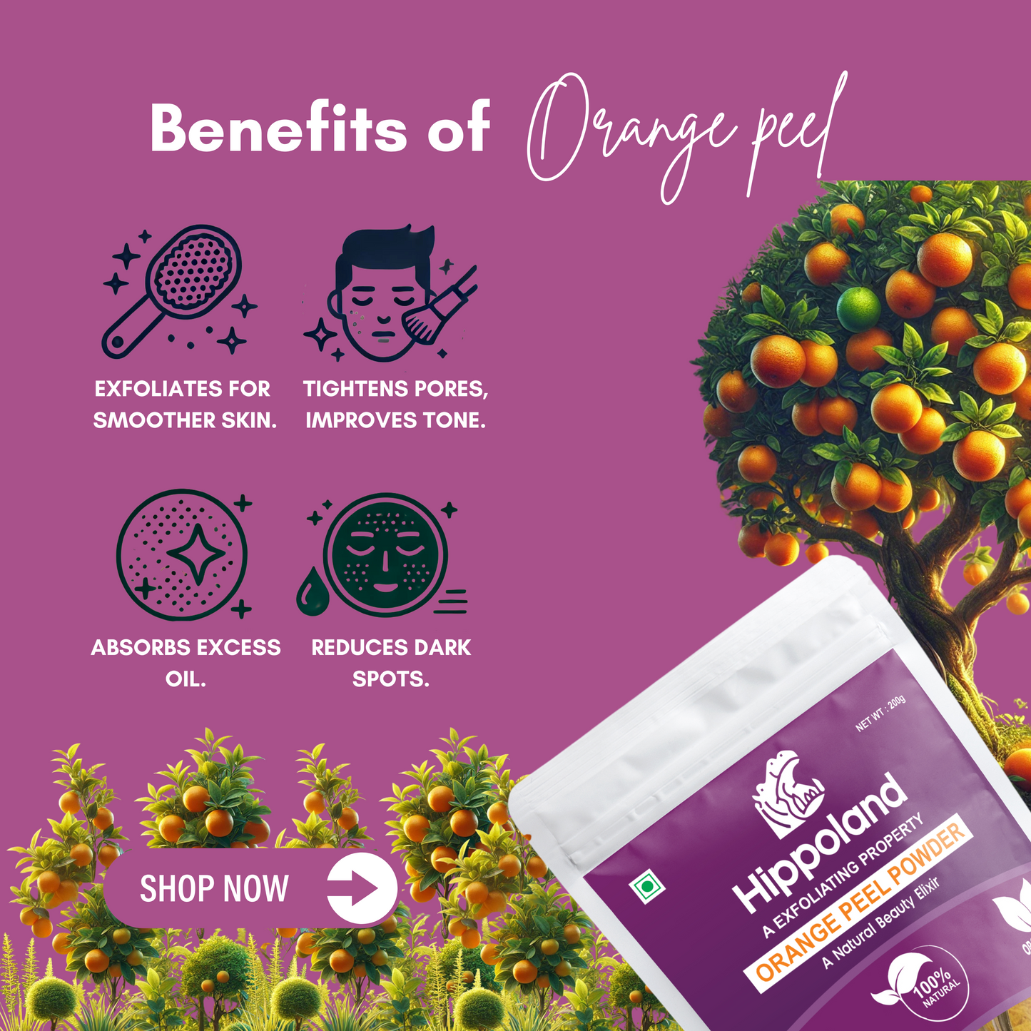 Hippoland Organic Orange Peel Powder | 100grams | 200grams | 500grams | 1kg