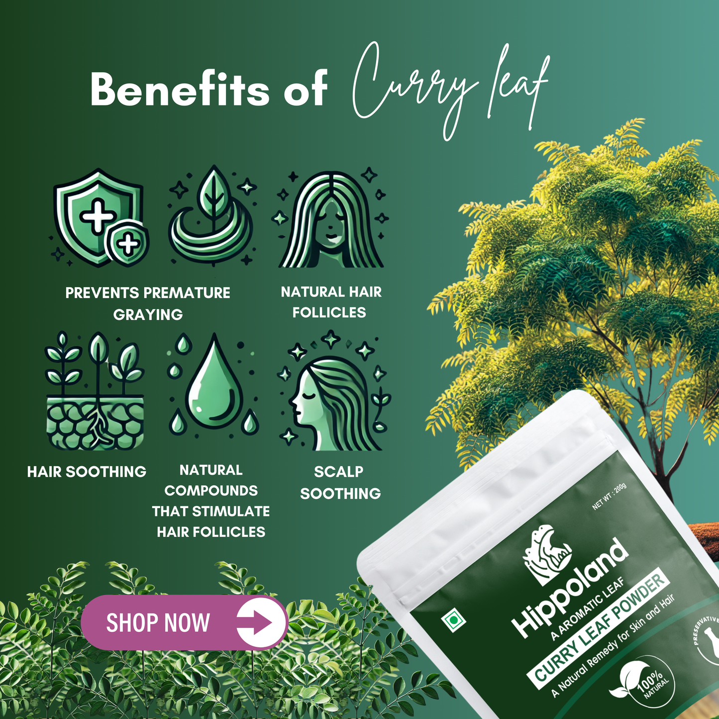 Hippoland Organic Curry Leaf Powder | 100grams | 200grams | 500grams | 1kg