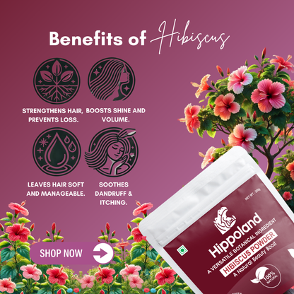 Hippoland Organic Hibiscus Flower Powder | 100grams | 200grams | 500grams | 1kg