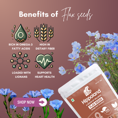 Hippoland Organic Flax Seeds | 100grams | 200grams | 500grams | 1kg