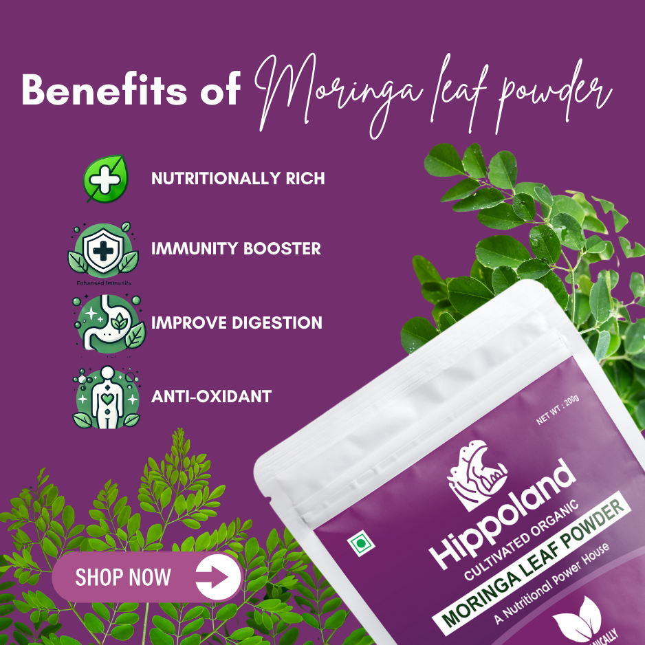 Hippoland Organic Moringa Leaf Powder | 100grams | 200grams | 500grams | 1kg