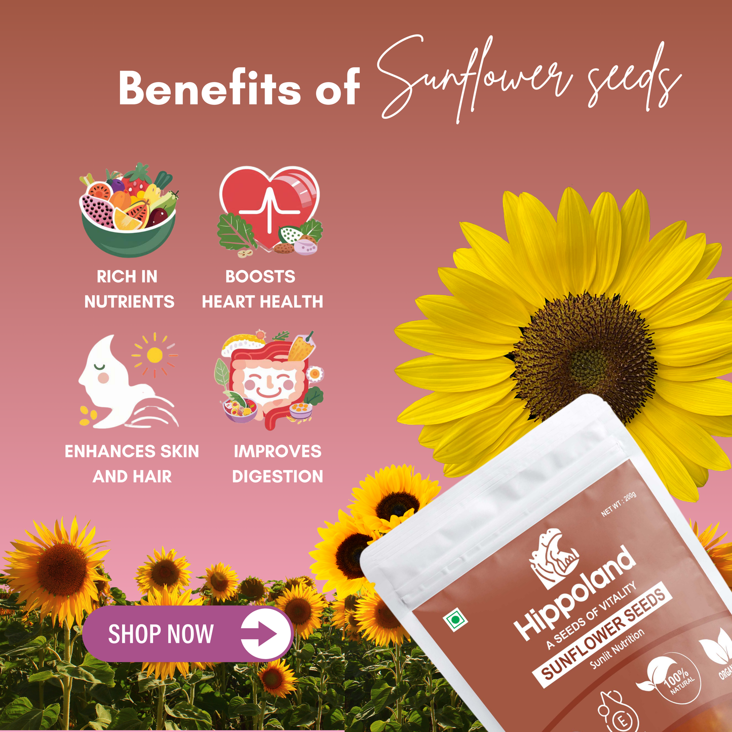 Hippoland Organic Sunflower Seeds | 100grams | 200grams | 500grams | 1kg