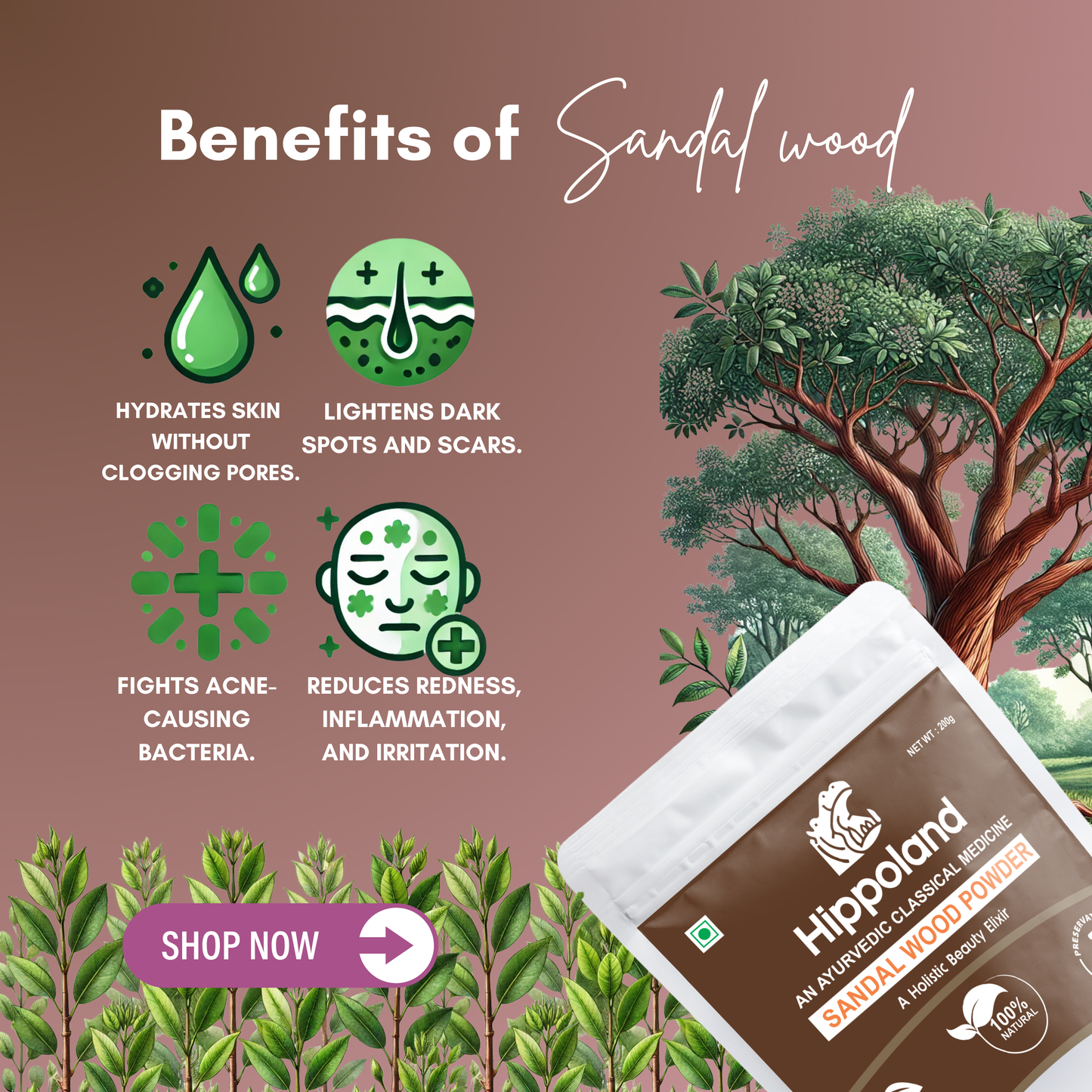 Hippoland Organic Sandalwood Powder | 100grams | 200grams | 500grams | 1kg