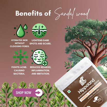 Hippoland Organic Sandalwood Powder | 100grams | 200grams | 500grams | 1kg