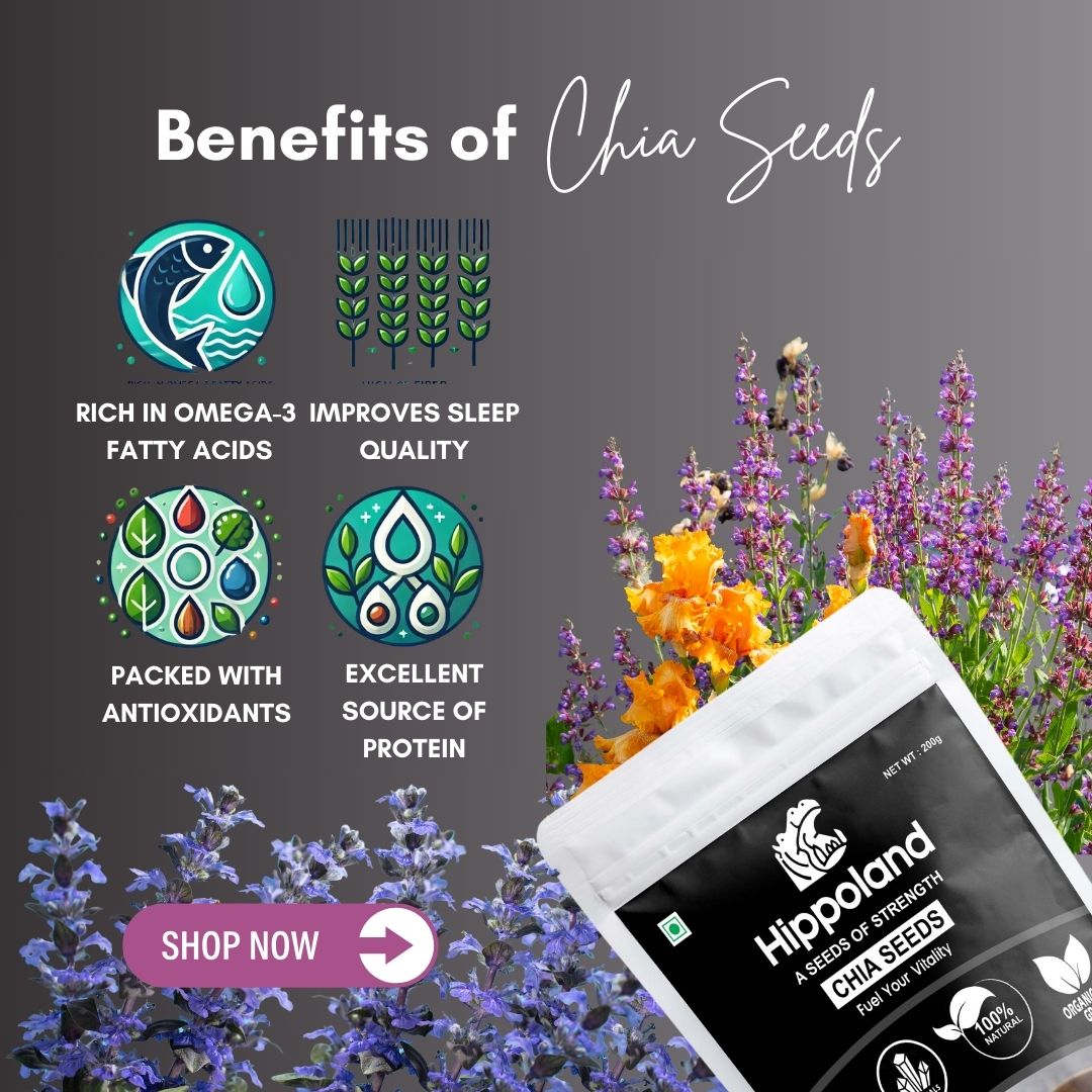 Hippoland Organic Chia Seeds | 100grams | 200grams | 500grams | 1kg