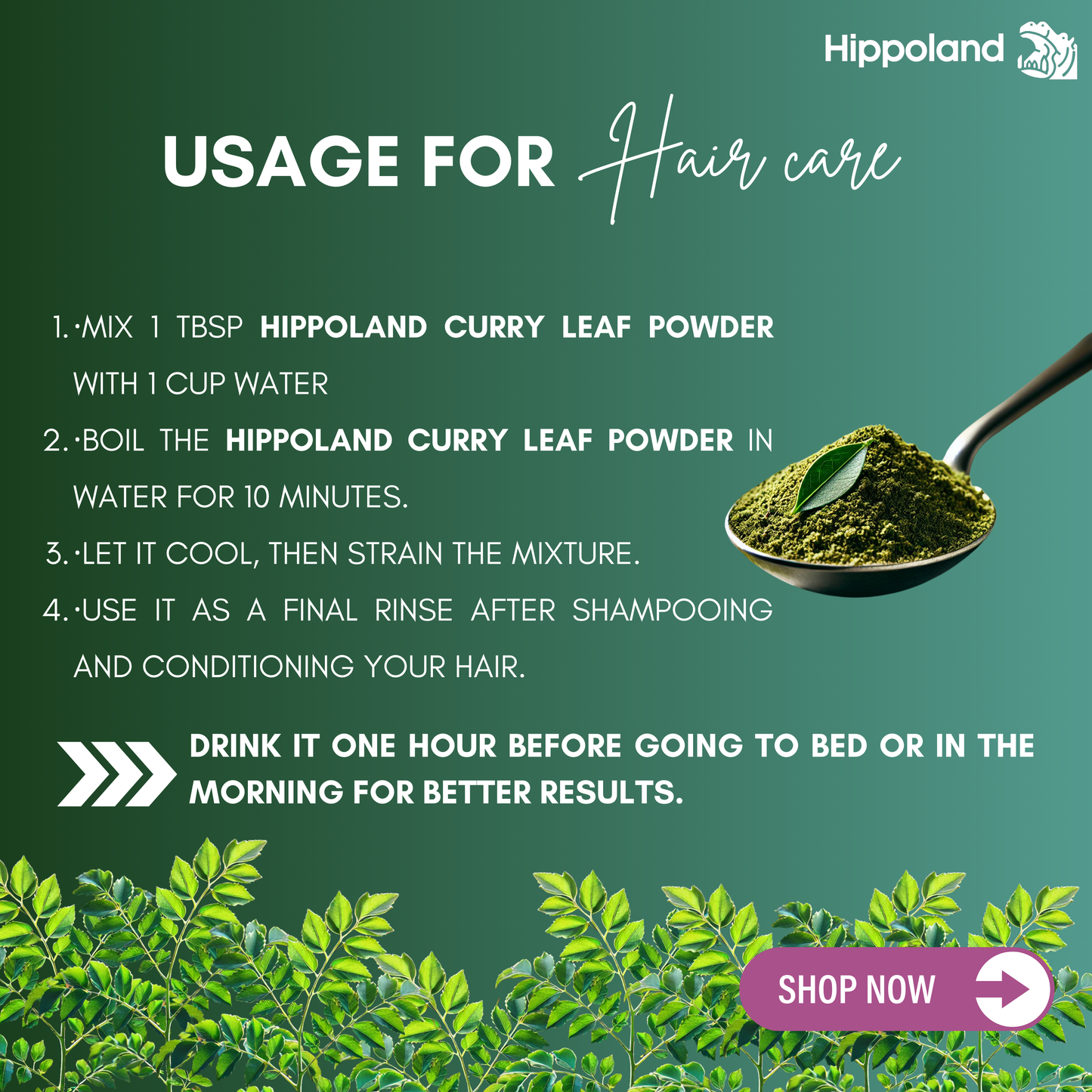 Hippoland Organic Curry Leaf Powder | 100grams | 200grams | 500grams | 1kg