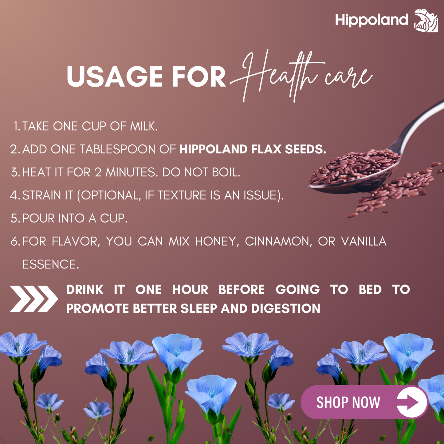 Hippoland Organic Flax Seeds | 100grams | 200grams | 500grams | 1kg