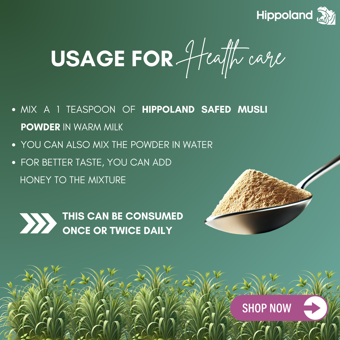 Hippoland Organic Safed Musli Powder | 100grams | 200grams | 500grams | 1kg