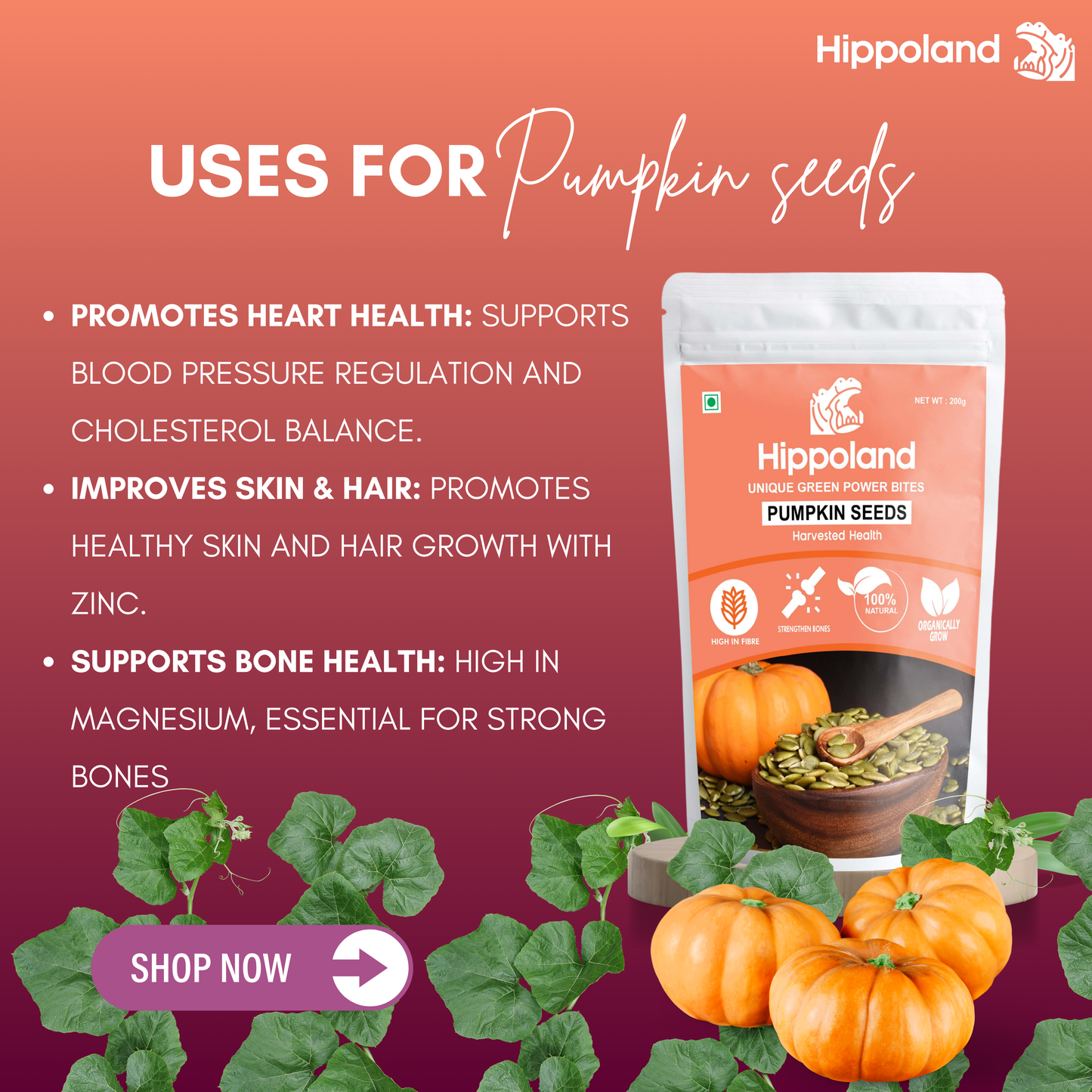 Hippoland Organic Pumpkin Seeds| 100grams | 200grams | 500grams | 1kg