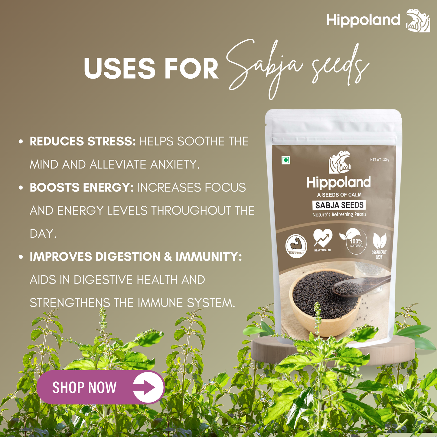 Hippoland Organic Sabja Seeds | 100grams | 200grams | 500grams | 1kg