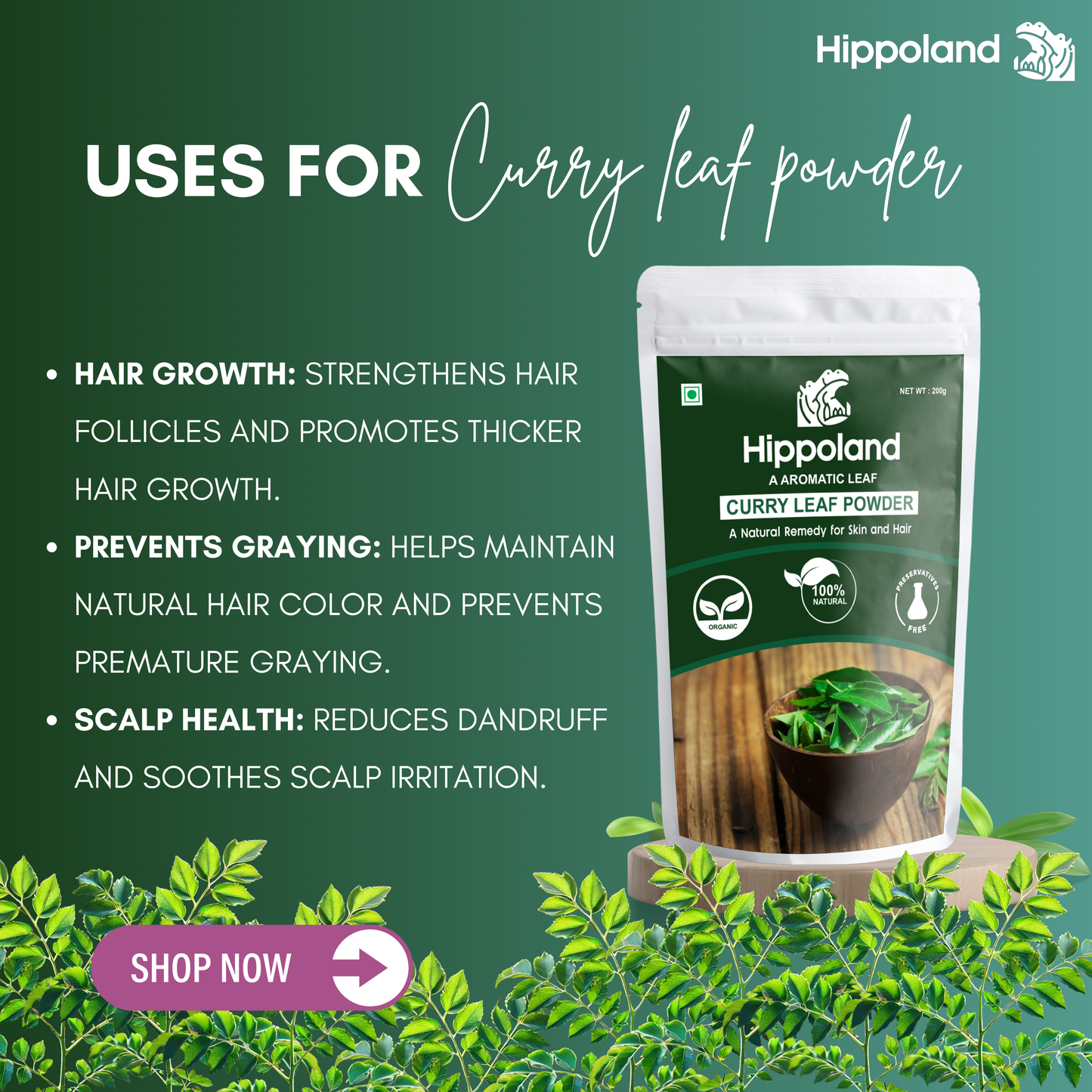 Hippoland Organic Curry Leaf Powder | 100grams | 200grams | 500grams | 1kg