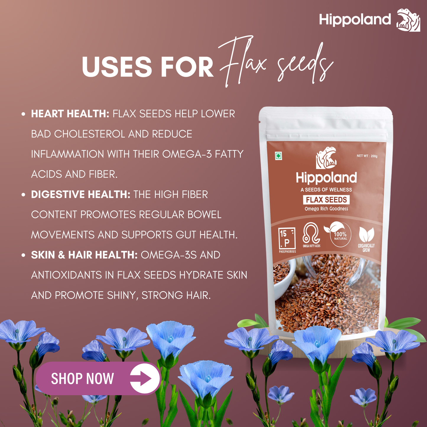 Hippoland Organic Flax Seeds | 100grams | 200grams | 500grams | 1kg